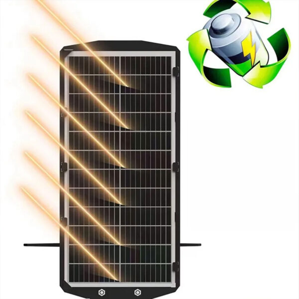 ⁦d⁩ - الصورة ⁦3⁩